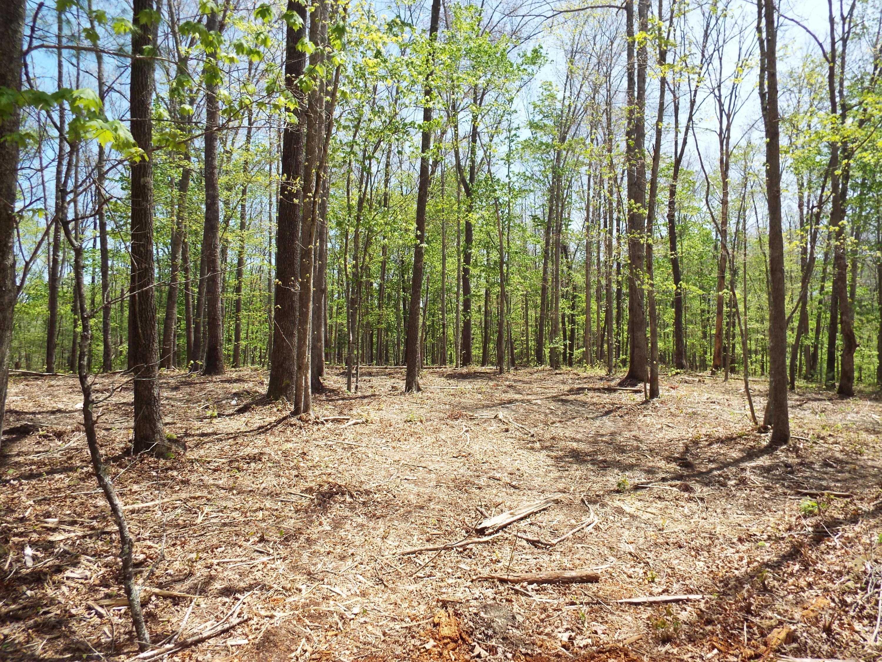 Lot 22 Emory Heights Road Lancing, TN 37770 - Photo 15 of 18 DSCF4099