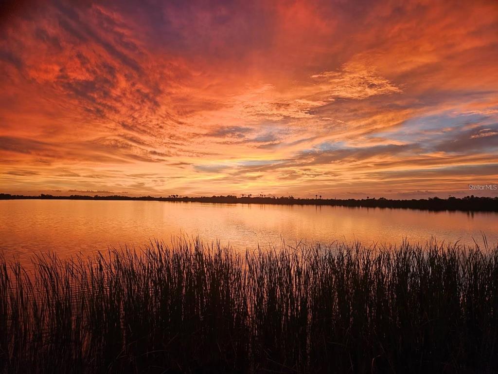 3215 Gulf City Road Ruskin, FL 33570 - Photo 94 of 99