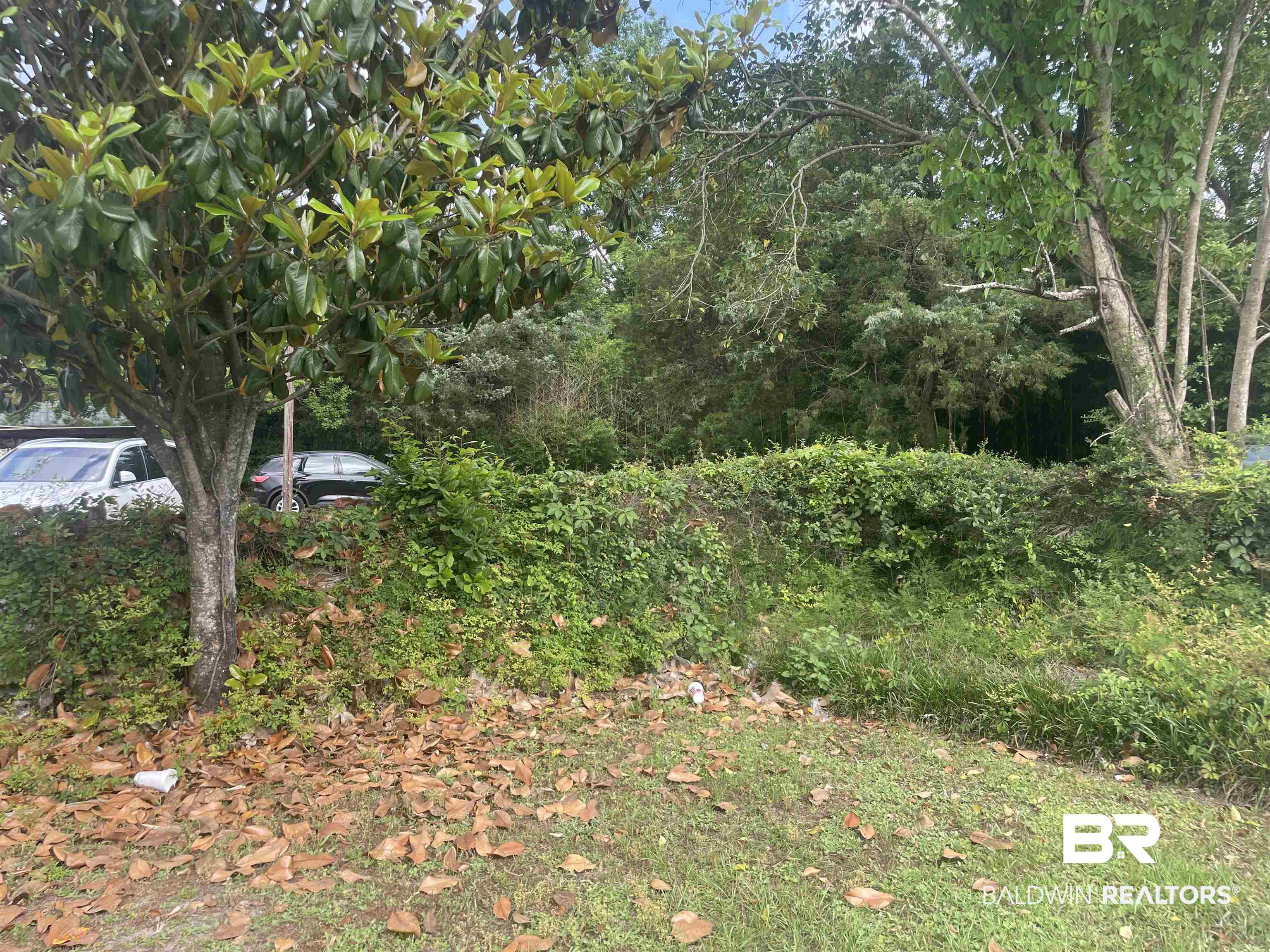 620 North Main Street Atmore, AL 36502 - Photo 5 of 7 Image quality insufficient for description