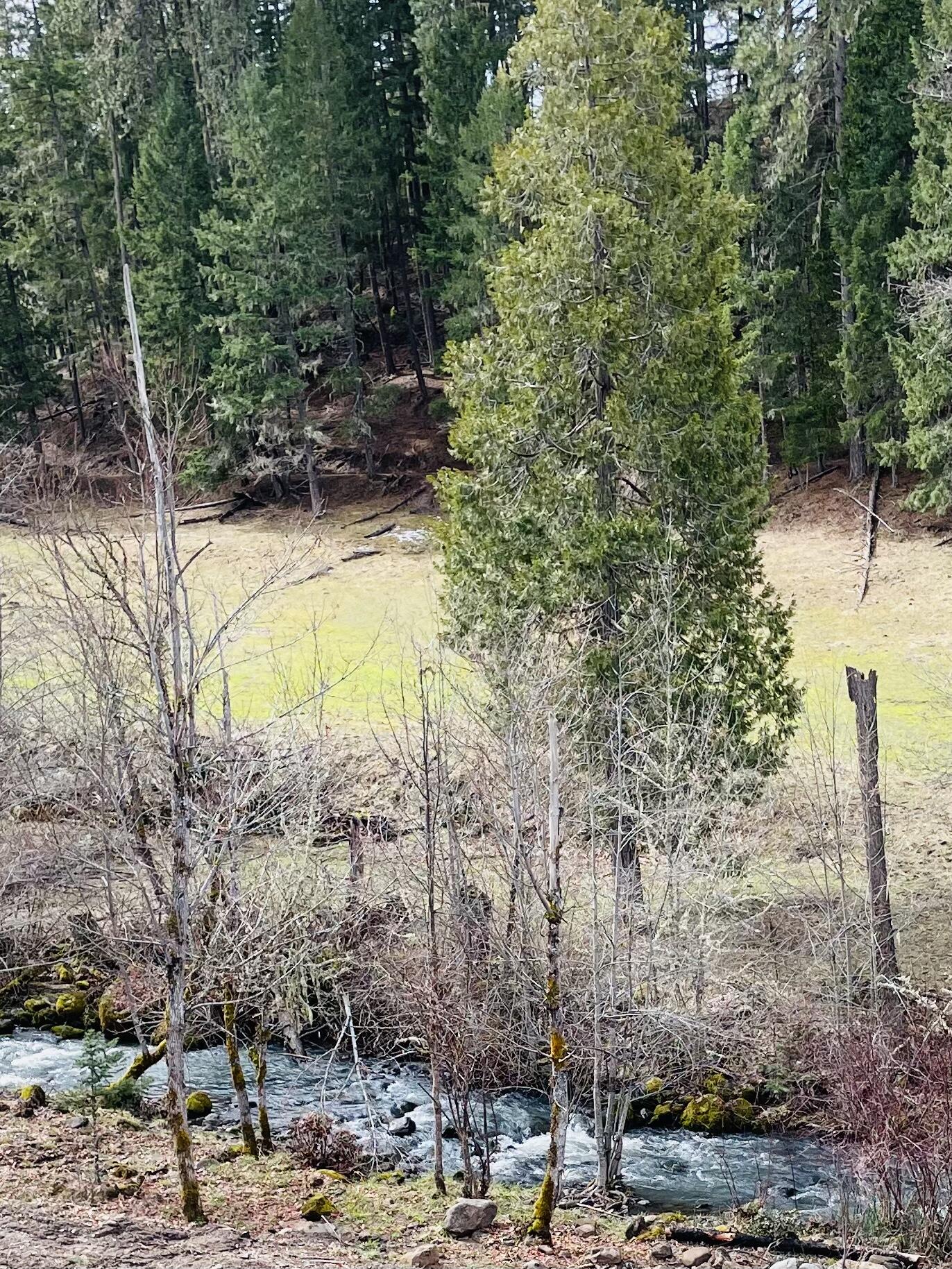 15000 Elk Creek Road Trail, OR 97541 - Photo 45 of 48 DA0A7027-BAFB-4CCC-B00A-6A0FBB984248
