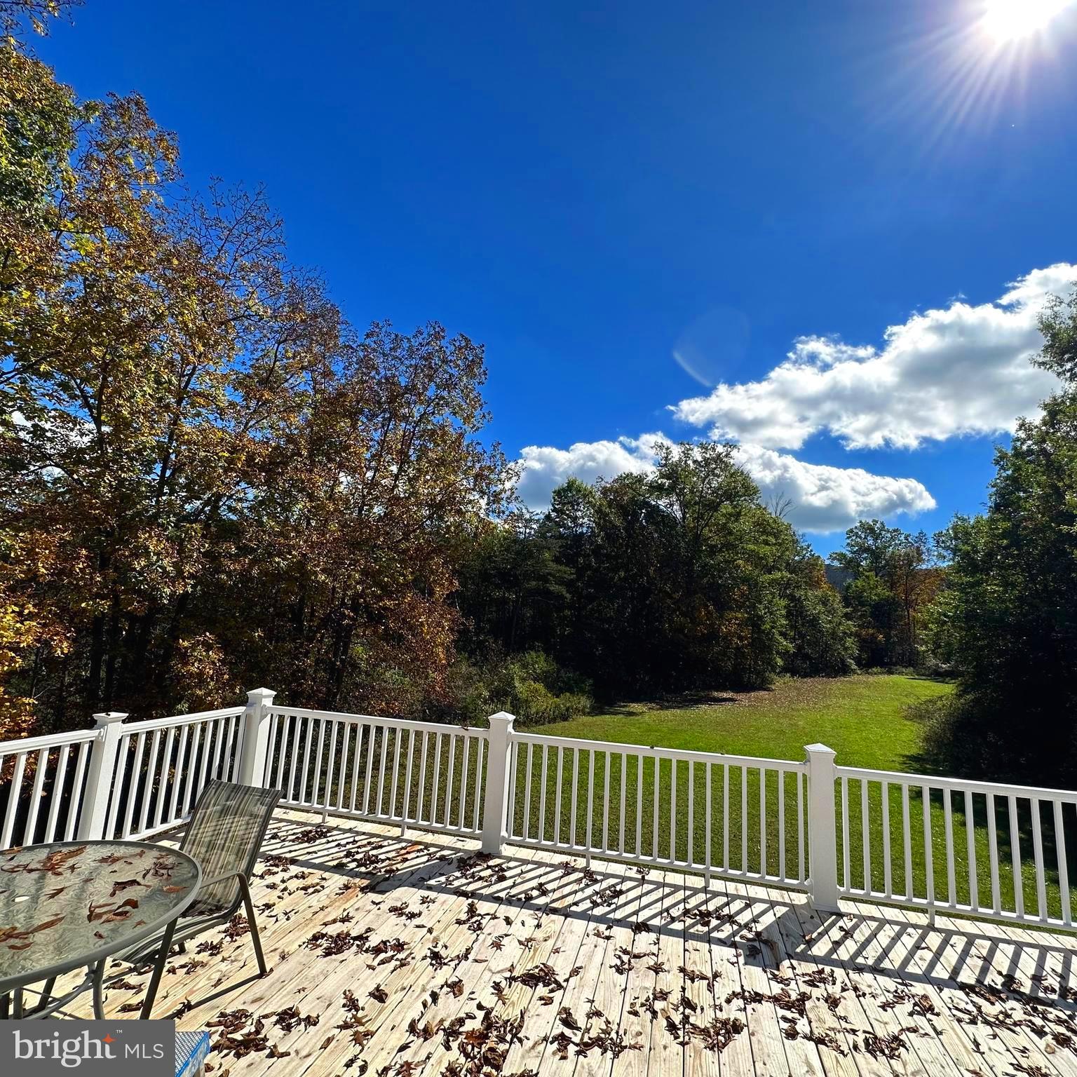 19000 Amberson Road Spring Run, PA 17262 - Photo 53 of 56 View from deck attached to Primary suite