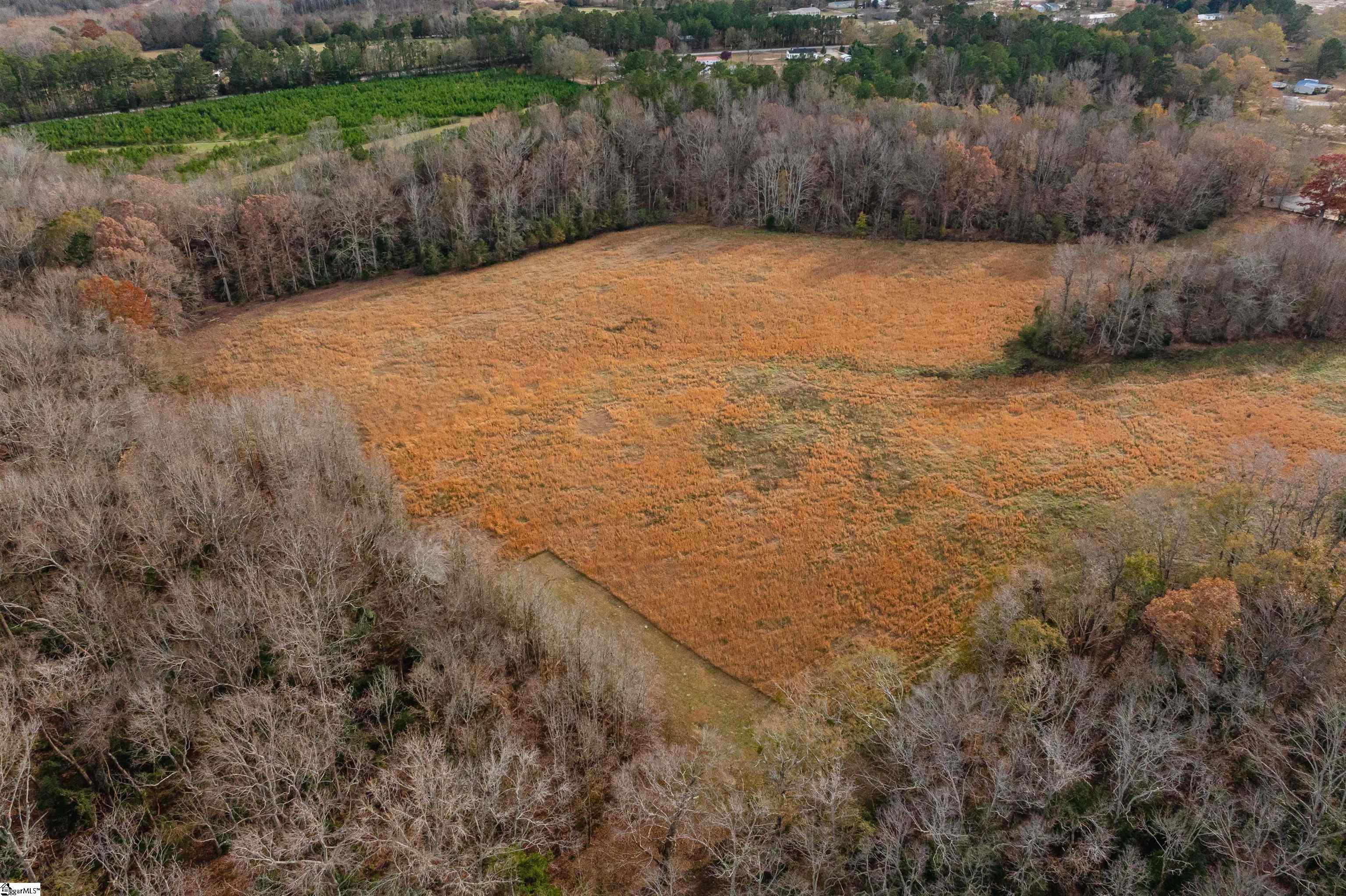 0 Taylor Road, Unit LOT 12 Honea Path, SC 29654 - Photo 12 of 22