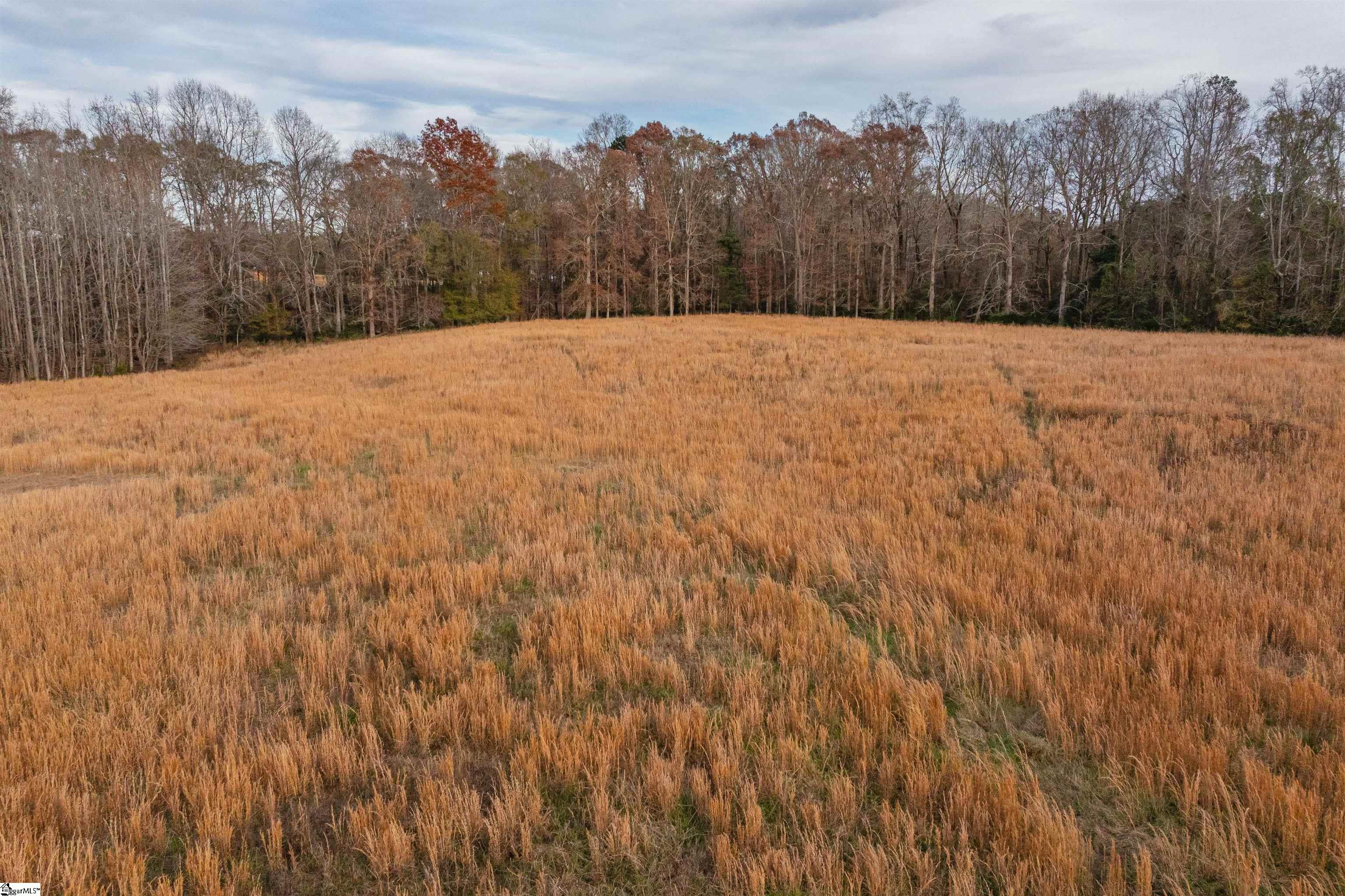 0 Taylor Road, Unit LOT 12 Honea Path, SC 29654 - Photo 19 of 22