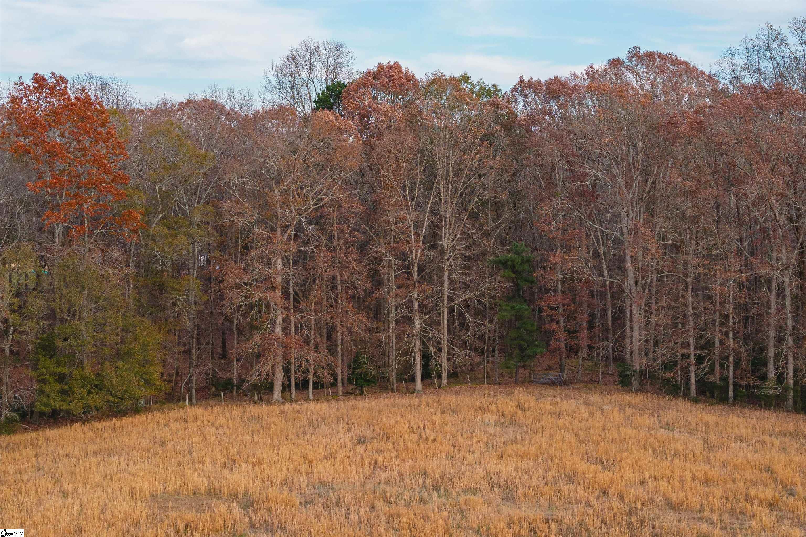 0 Taylor Road, Unit LOT 12 Honea Path, SC 29654 - Photo 20 of 22