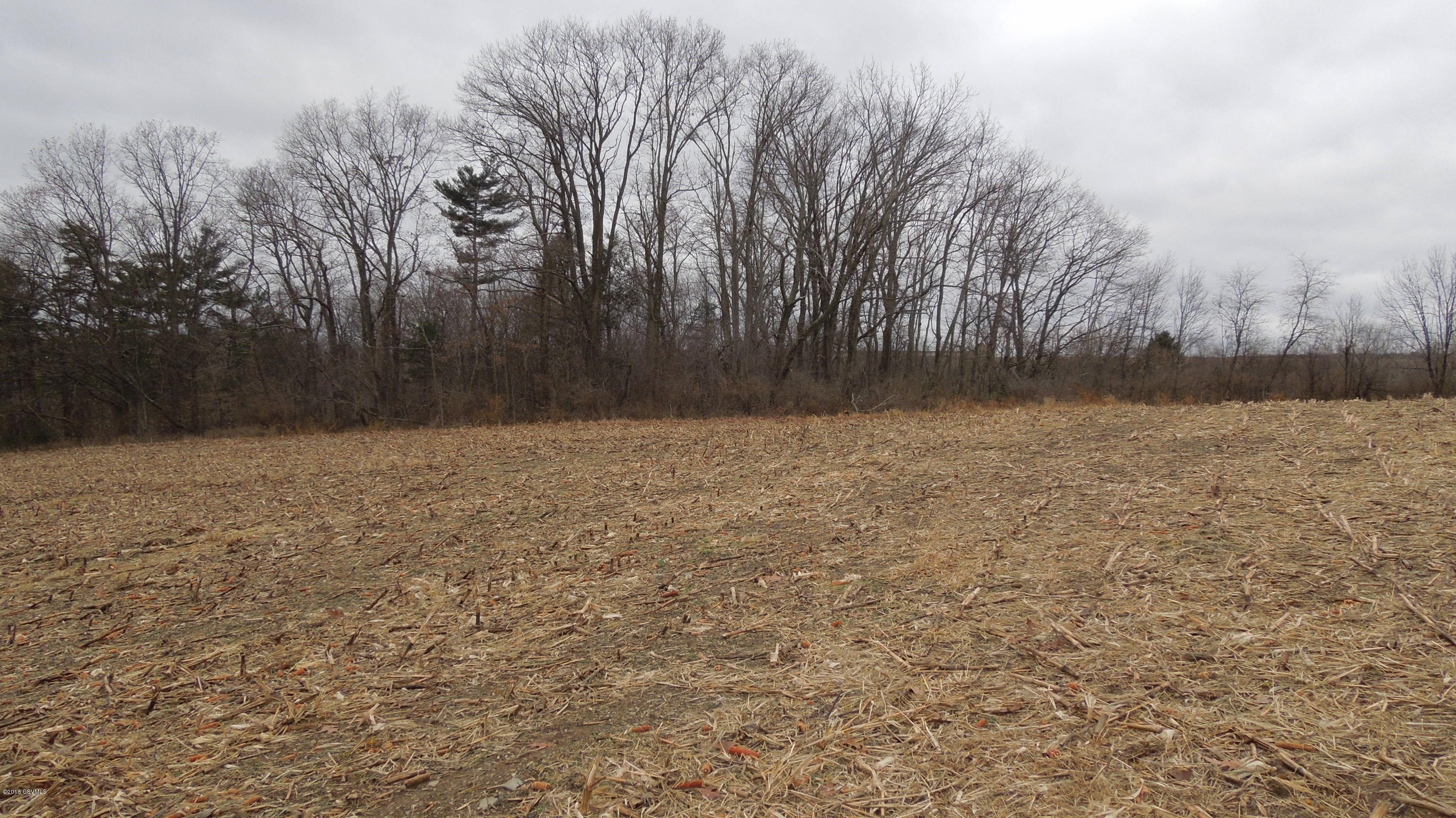 Centre School Road Elysburg, PA 17824 - Photo 4 of 5 Gallery Image 4