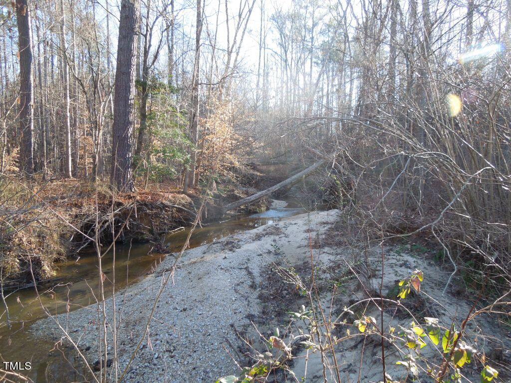 Tbd Macon-Embro Road Macon, NC 27551 - Photo 23 of 29 DSCN7210