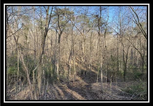 0 Harrison Road, Unit TRACT 5 Jackson, OH 45640 - Photo 33 of 50 image032