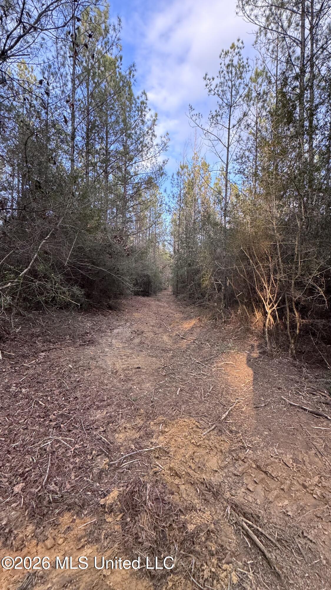 42 Mississippi State Line, MS 39362 - Photo 26 of 87 Photo Feb 13 2026, 4 38 21 PM