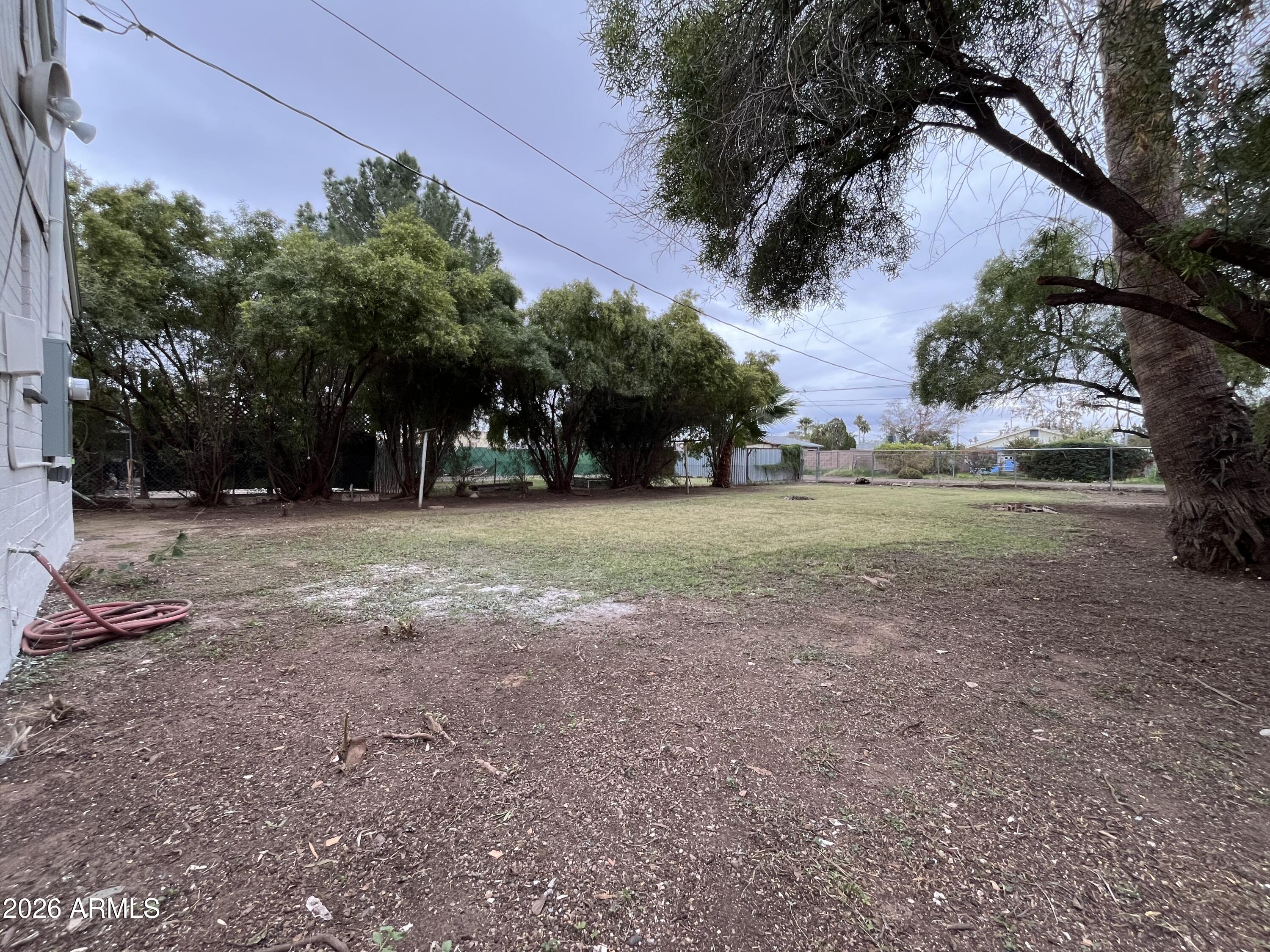 1226 South Roosevelt Street Tempe, AZ 85281 - Photo 17 of 26 a view of a yard with a tree