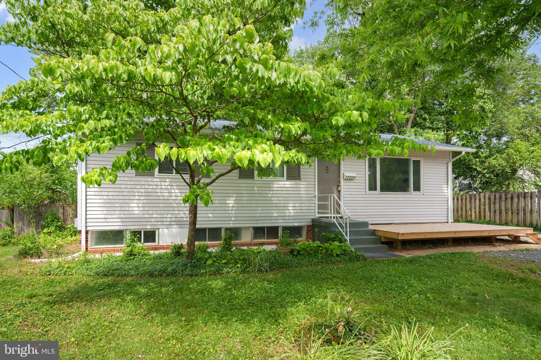 a view of a house with a yard and a large tree