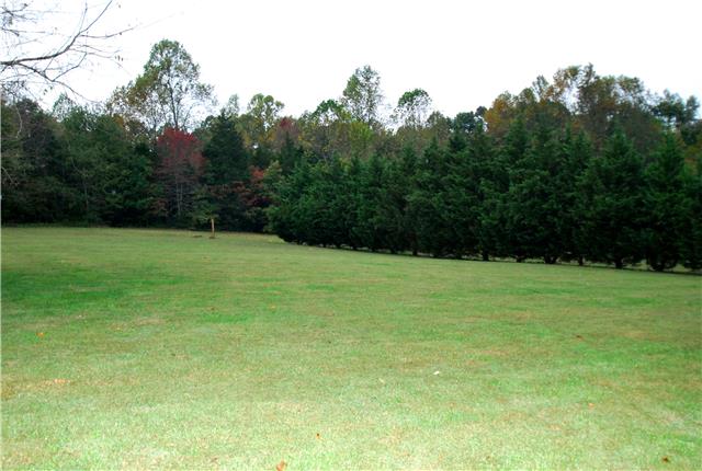 317 Maxwell Branch Road Cottontown, TN 37048 - Photo 17 of 22 Other side of the home also tree lined to create a private retreat