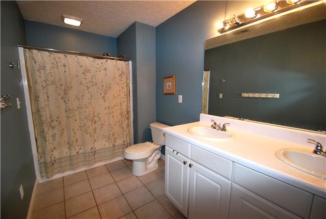 317 Maxwell Branch Road Cottontown, TN 37048 - Photo 8 of 22 Upstairs bathroom just off the master bedroom has double vanities and tile floors