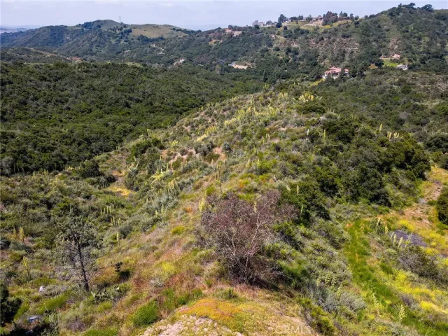 a view of a city with lush green forest