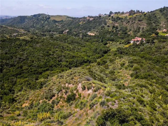 a view of a lush green forest with mountains in the background