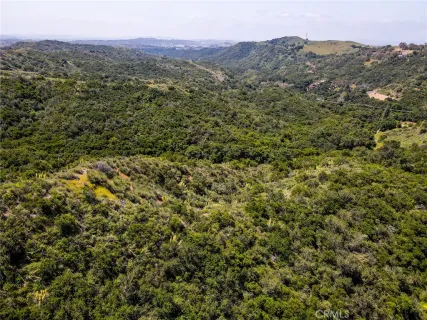 a view of a city with lush green forest