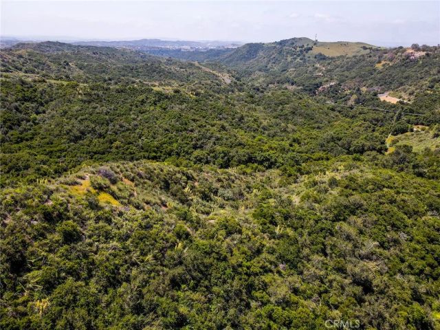 a view of a city with lush green forest