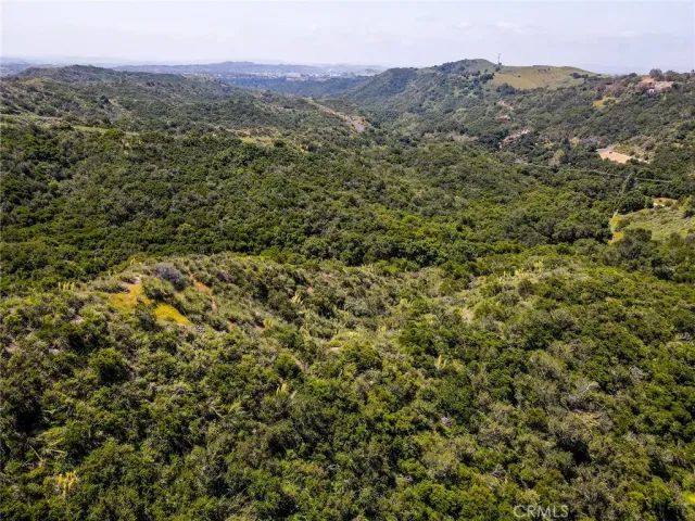 a view of a city with lush green forest
