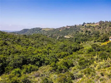 a view of a city with lush green forest