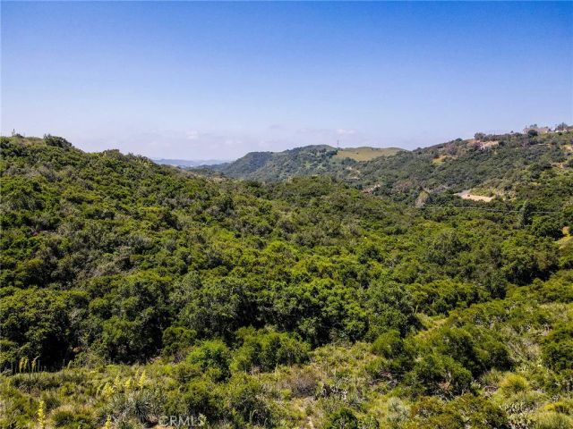 a view of a city with lush green forest