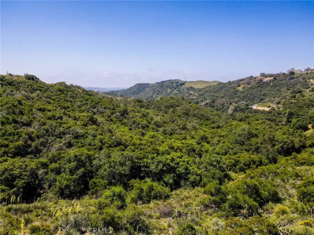 a view of a city with lush green forest