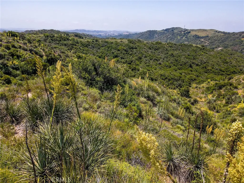 0 Chris Trabuco Canyon Trabuco Canyon, CA 92679 - Photo 25 of 58 a view of a lush green forest with mountains in the background