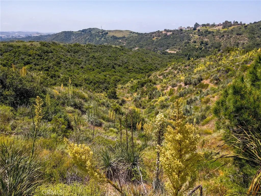 0 Chris Trabuco Canyon Trabuco Canyon, CA 92679 - Photo 26 of 58 a view of a lush green forest with mountains in the background