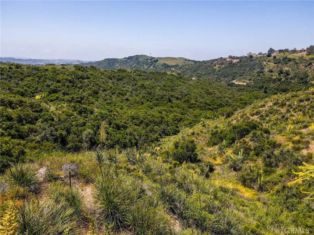 0 Chris Trabuco Canyon Trabuco Canyon, CA 92679 - Photo 27 of 58 a view of a field with a mountain in the background