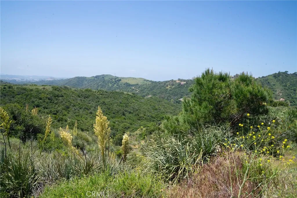 0 Chris Trabuco Canyon Trabuco Canyon, CA 92679 - Photo 28 of 58 a view of a city with lush green forest