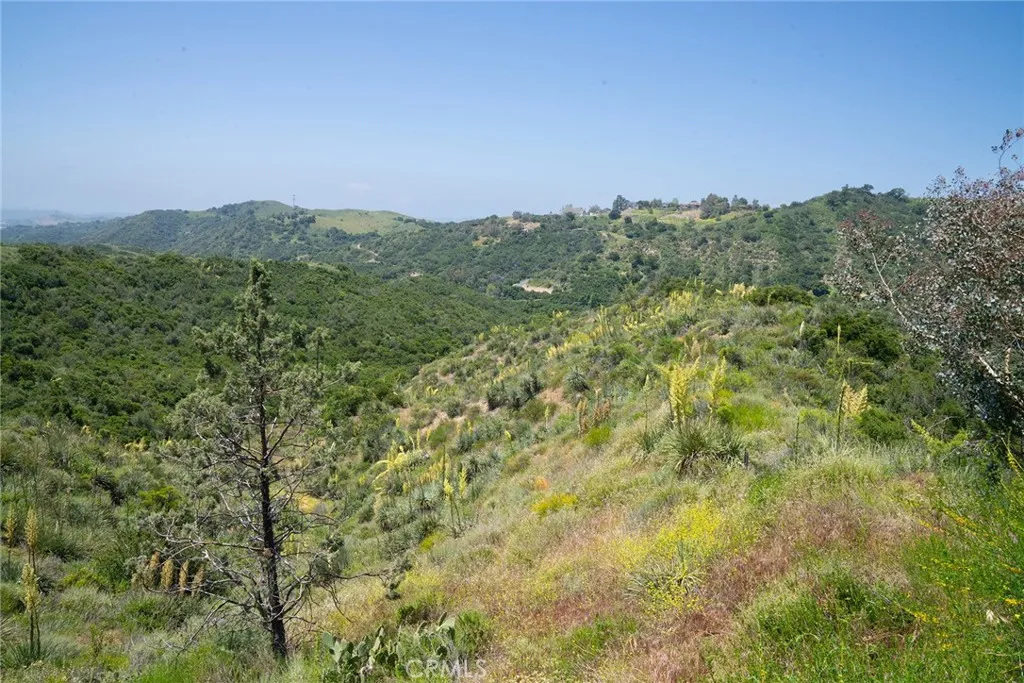 0 Chris Trabuco Canyon Trabuco Canyon, CA 92679 - Photo 29 of 58 a view of a city with lush green forest