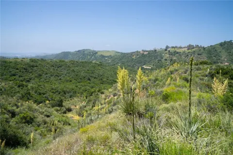 a view of a green field with lots of bushes