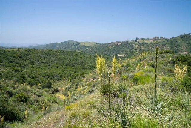 a view of a green field with lots of bushes