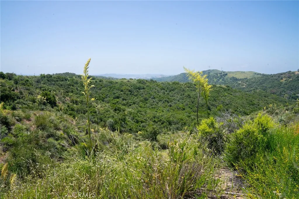 0 Chris Trabuco Canyon Trabuco Canyon, CA 92679 - Photo 33 of 58 a view of a middle of a house
