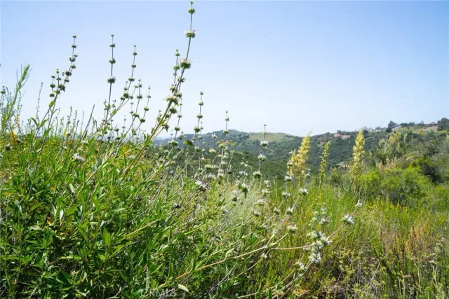 a view of a large building with a mountain in the background