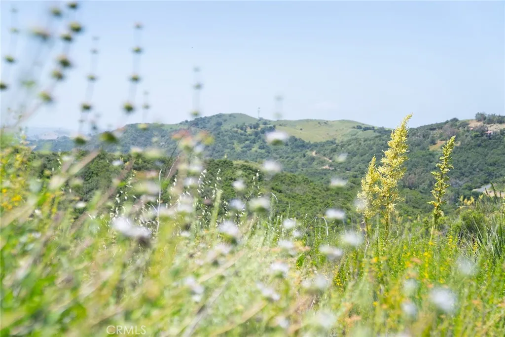 0 Chris Trabuco Canyon Trabuco Canyon, CA 92679 - Photo 36 of 58 a view of a field