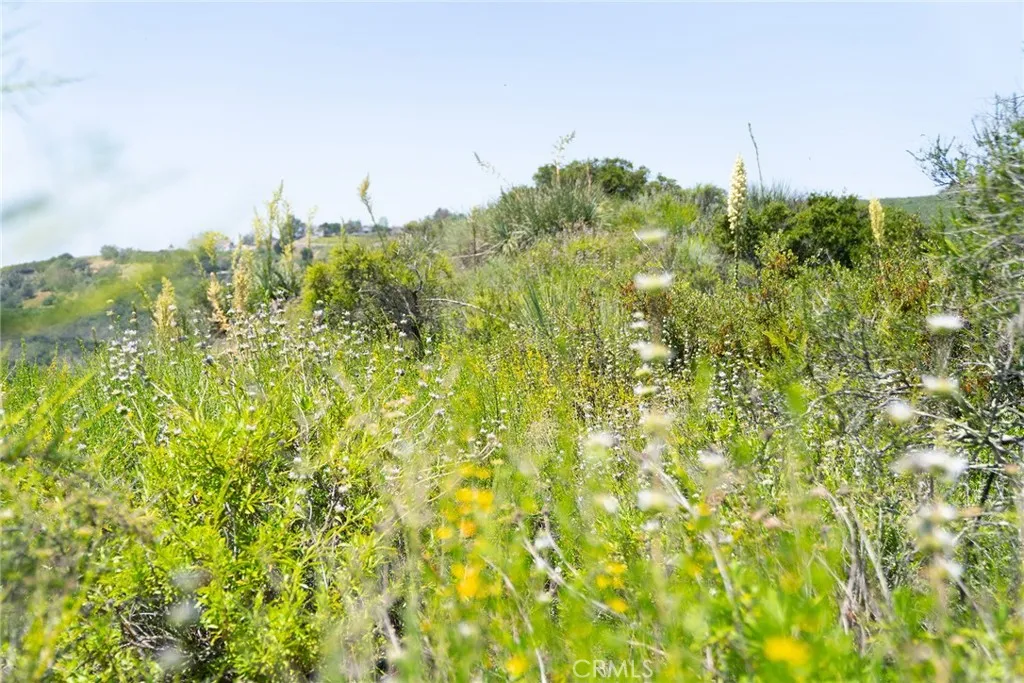 0 Chris Trabuco Canyon Trabuco Canyon, CA 92679 - Photo 37 of 58 a view of a green field with lots of bushes