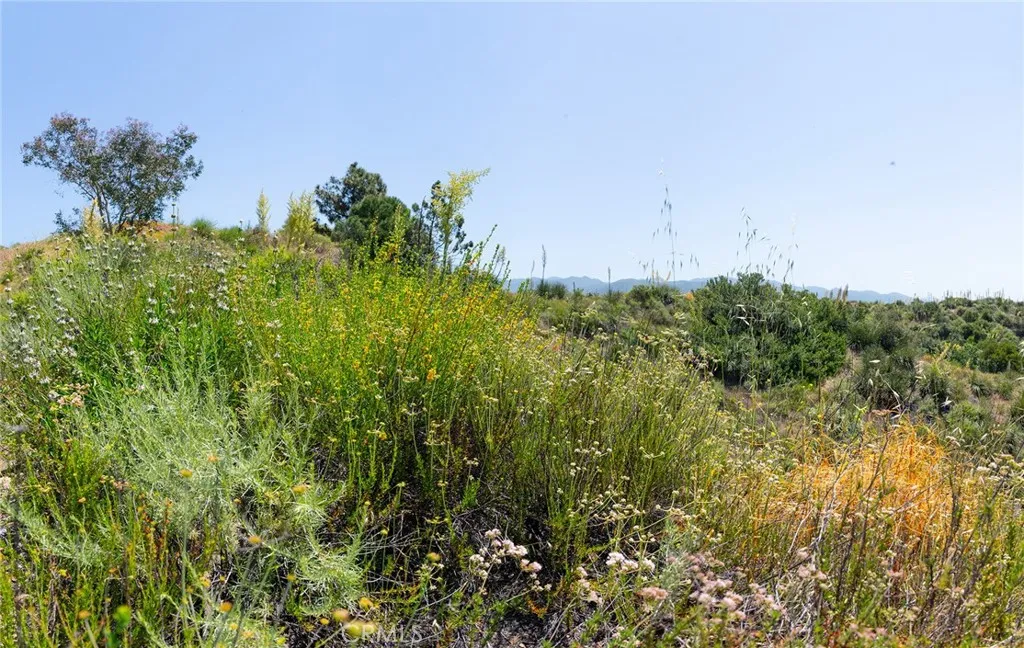 0 Chris Trabuco Canyon Trabuco Canyon, CA 92679 - Photo 40 of 58 a view of a garden