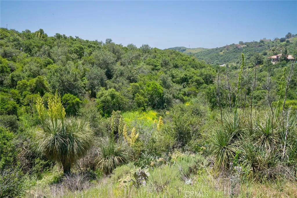 0 Chris Trabuco Canyon Trabuco Canyon, CA 92679 - Photo 41 of 58 a view of a forest with a street