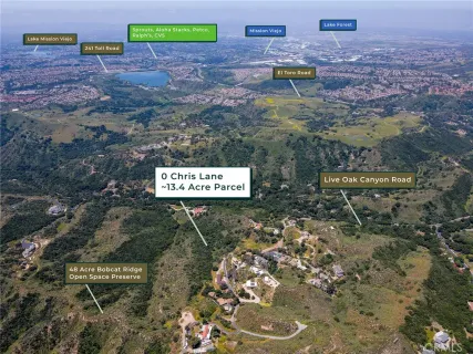 a view of a forest with a mountain