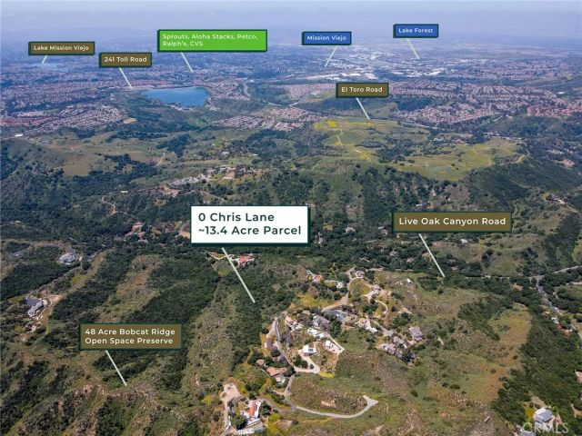 a view of a forest with a mountain