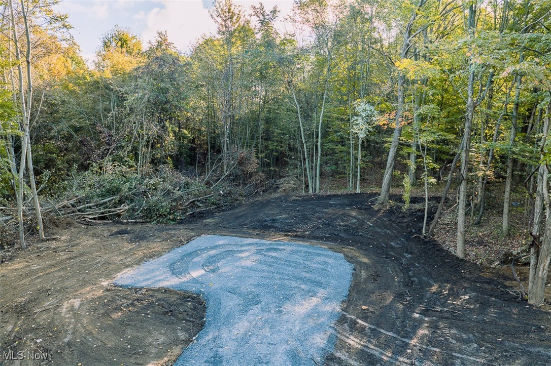 Youngstown Salem Road Salem, OH 44460 - Photo 5 of 18 View of land