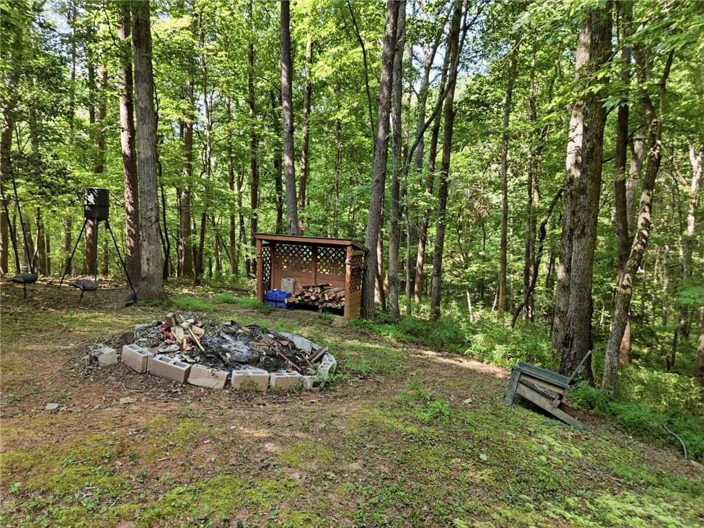 98 Maple Ridge Road Dahlonega, GA 30533 - Photo 49 of 51