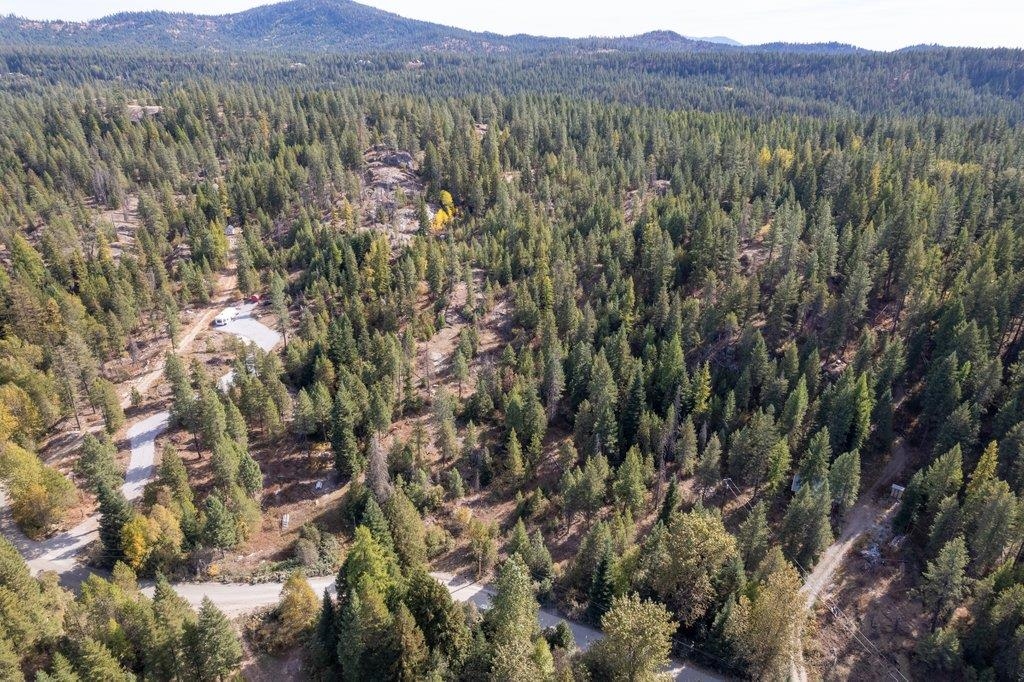 697 Granite Road Newport, WA 99156 - Photo 2 of 14