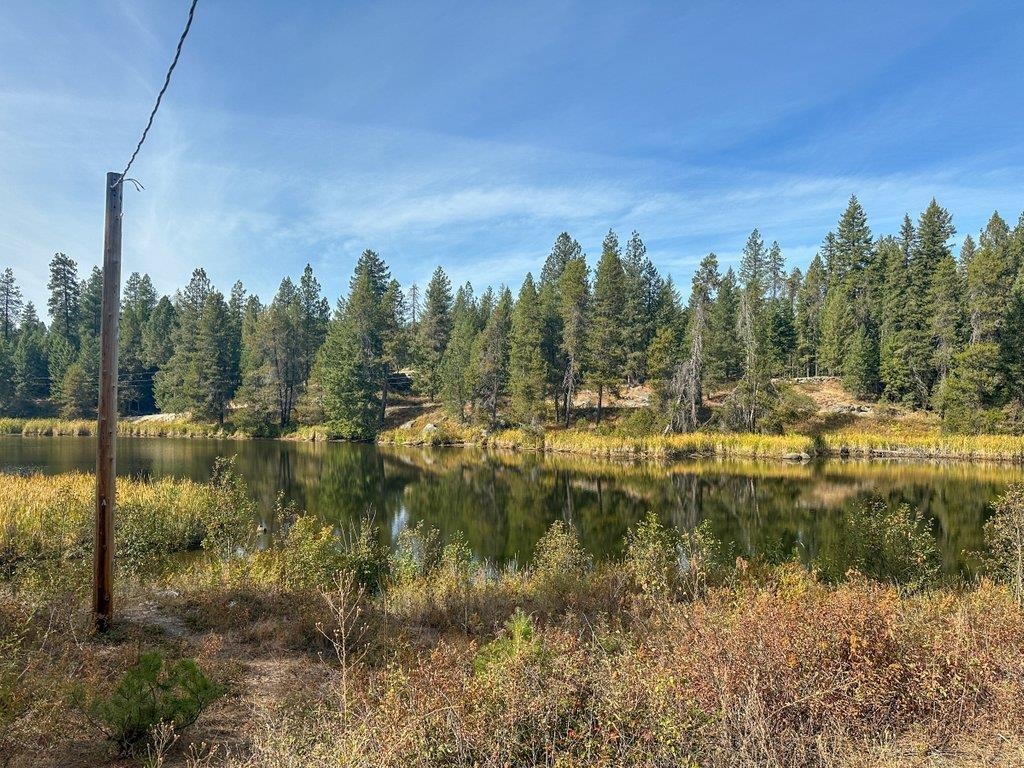697 Granite Road Newport, WA 99156 - Photo 10 of 14