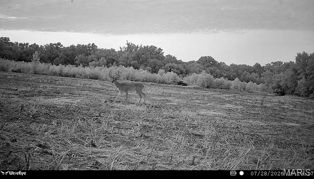 1 Landmark Road Iuka, IL 62849 - Photo 31 of 40 Gallery Image 31