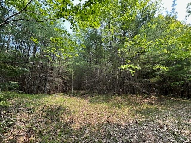 On Sunset Road Eagle River, WI 54521 - Photo 2 of 11 Gallery Image 2