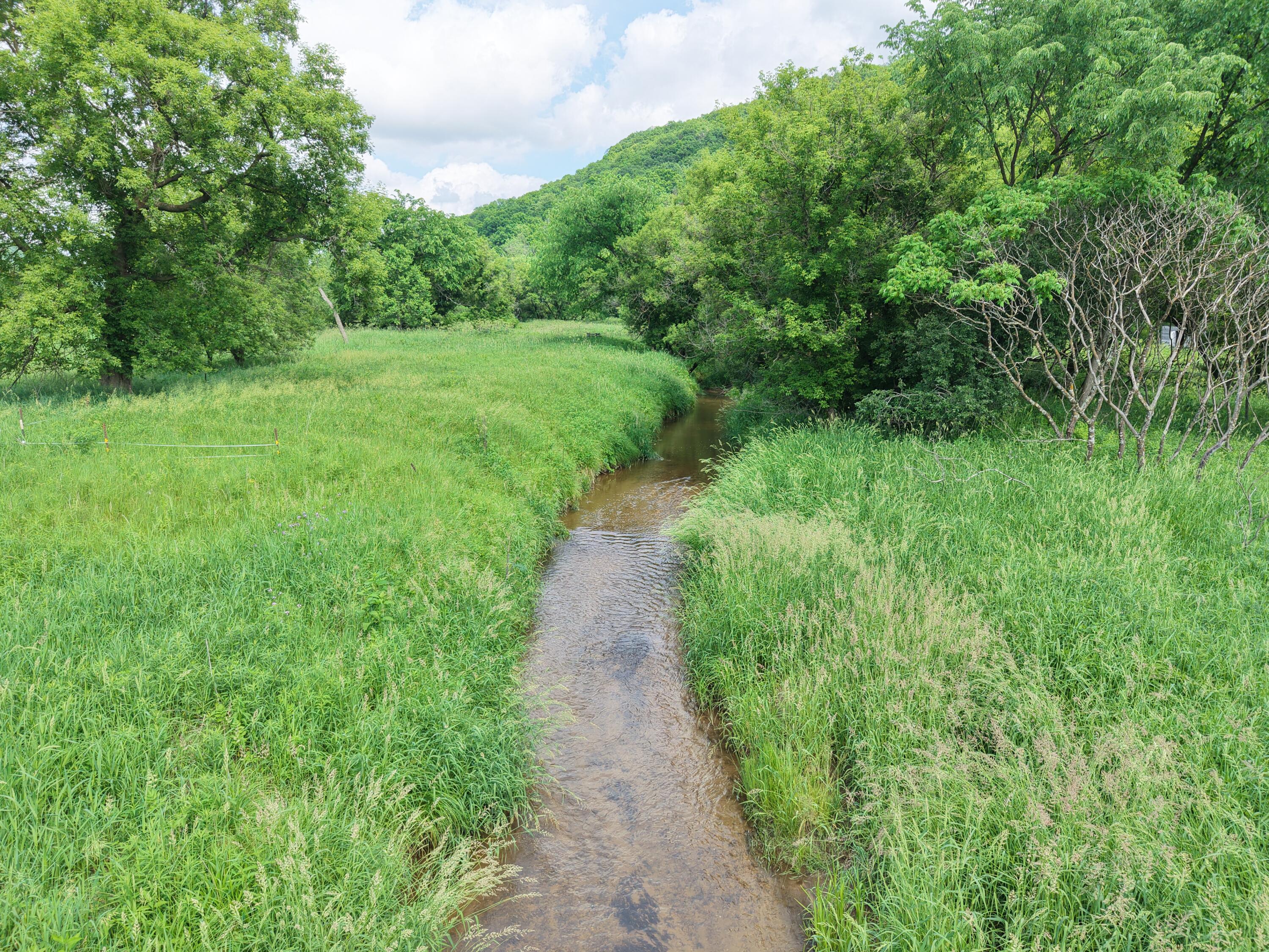 E12950 County Rd D Stark, WI 54639 - Photo 24 of 36 DJI_20260609152231_0870_D