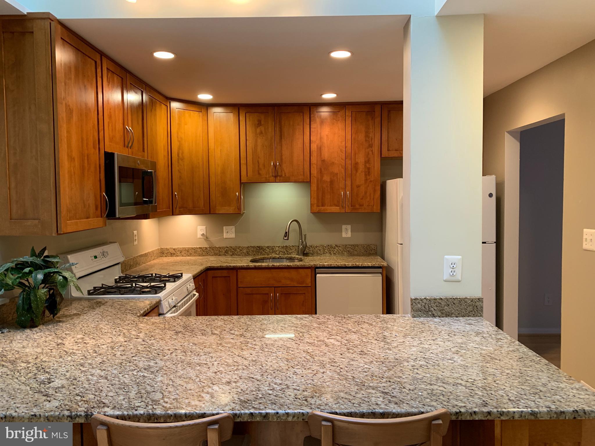 11854 South Lakes Court Reston, VA 20191 - Photo 4 of 29