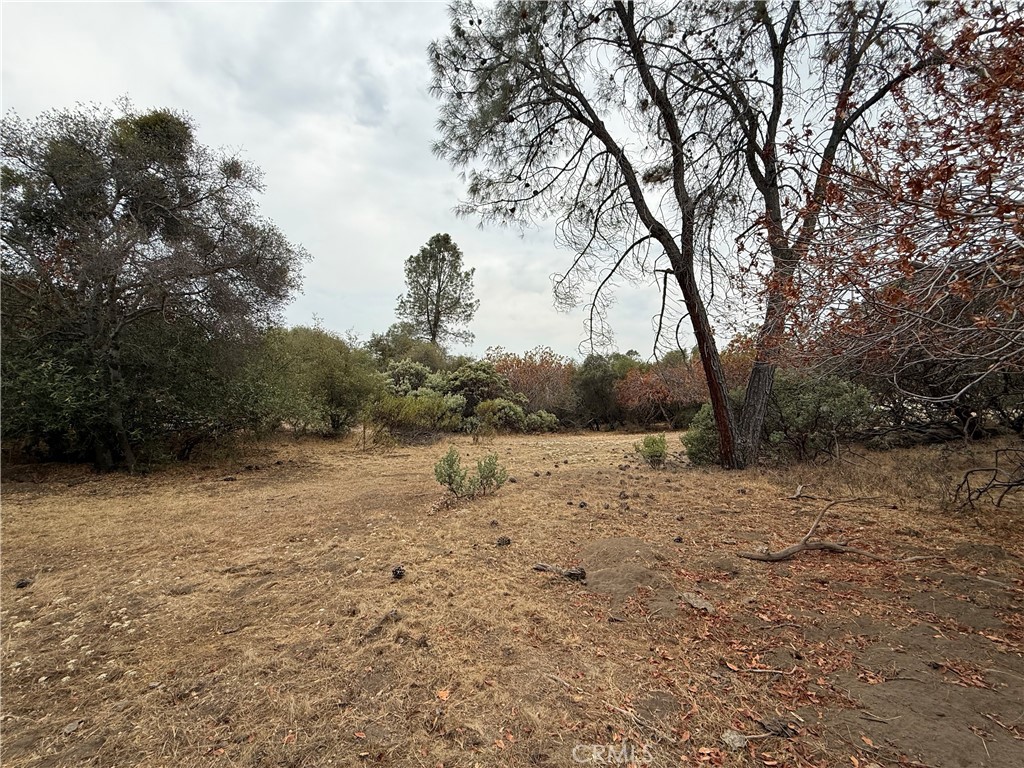 -39.77 Ac Flying O Ranch Road Coarsegold, CA 93614 - Photo 9 of 26 Gallery Image 9