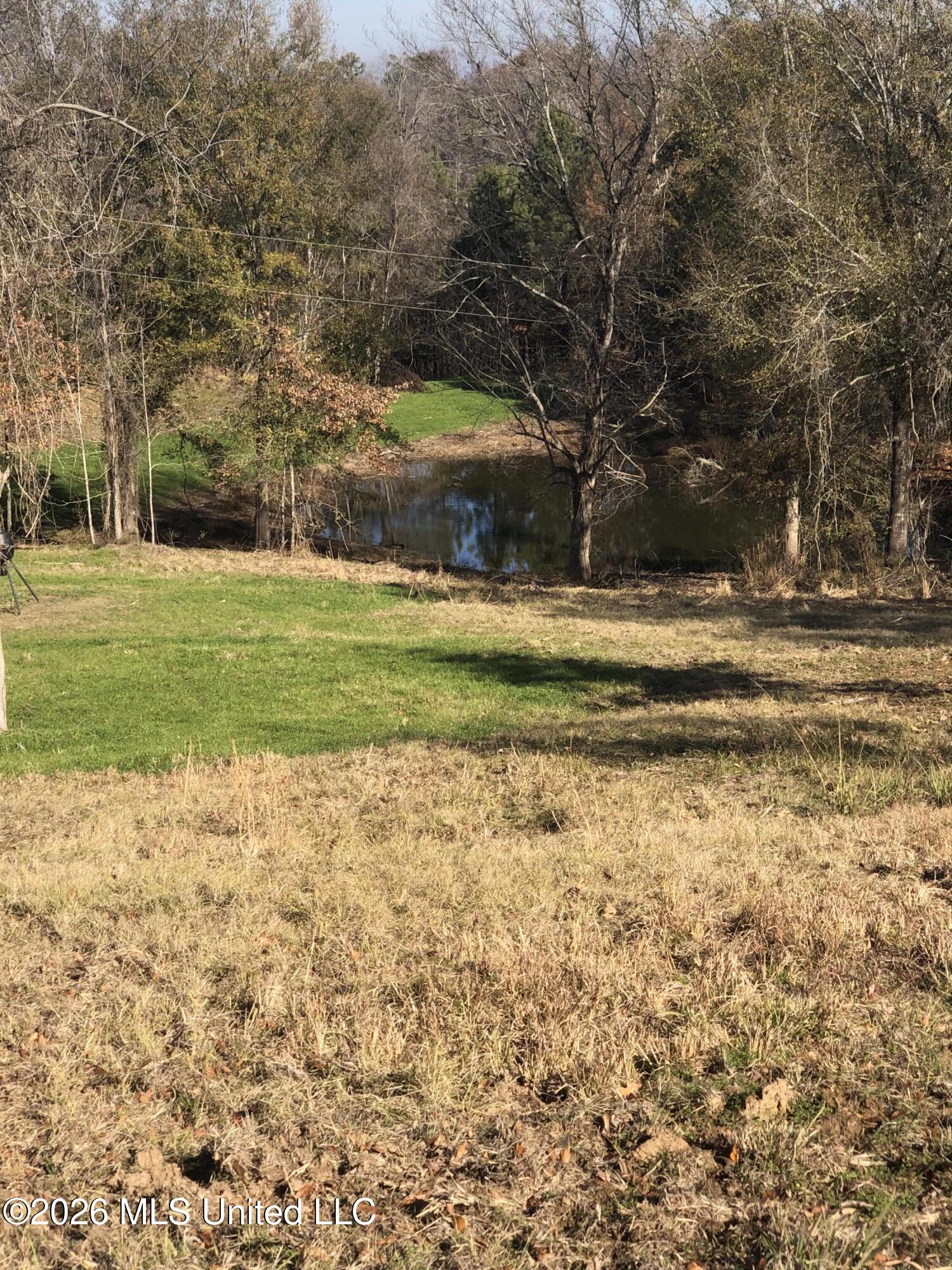 53 Cliffs Plantation Road Natchez, MS 39120 - Photo 20 of 32 IMG_1711