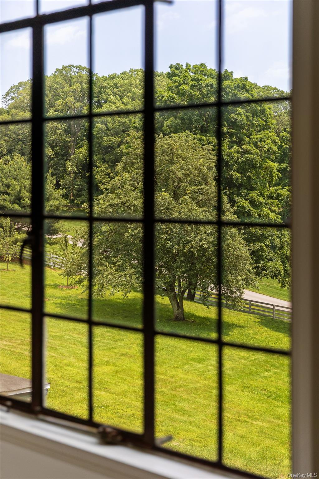 310 Mt Holly Road Katonah, NY 10536 - Photo 15 of 33 View from Barn Apartment